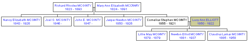 Mini tree diagram