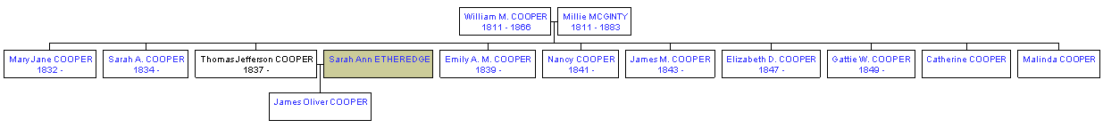 Mini tree diagram