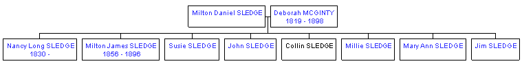 Mini tree diagram