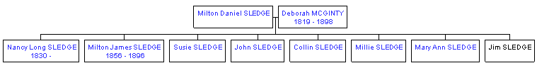 Mini tree diagram