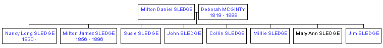 Mini tree diagram