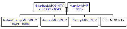 Mini tree diagram