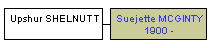 Mini tree diagram