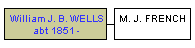 Mini tree diagram