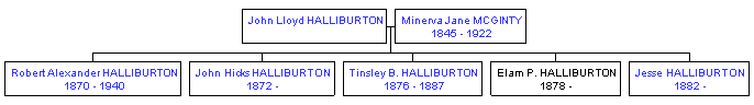 Mini tree diagram